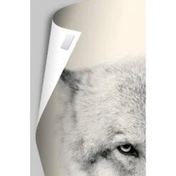 Trends International Disney Pixar Turning Red - 4-Town Tween Beat Unframed Wall Poster Prints -Child Furniture Shop GUEST 56d31d4e 82a0 4384 abb9 92c9c4c39526