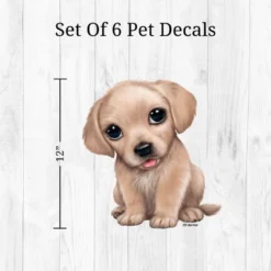 Cats & Dogs Wall Decor - Decalcomania -Child Furniture Shop GUEST bc12b544 bba9 444b 8e6c faebf5cfa12a